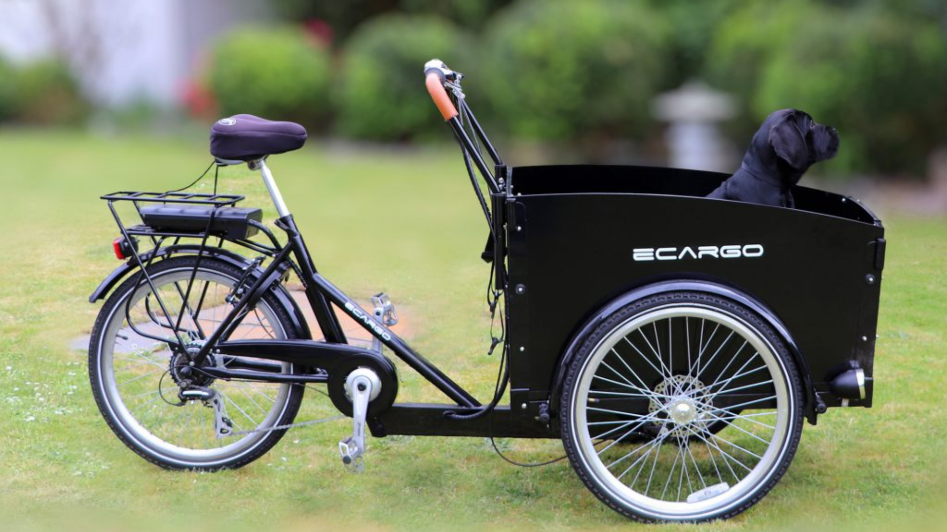 A black electric cargo bike with a black puppy in the basket.
